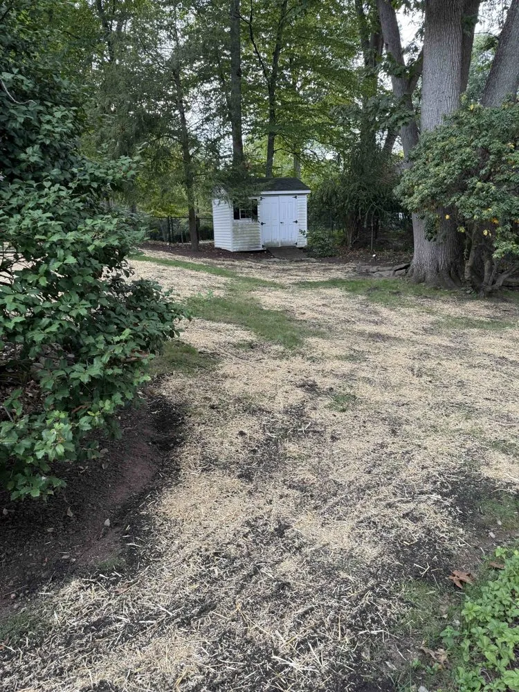 Local lawn care service for residential properties across Norwood, NJ - Fuji Valley Landscaping