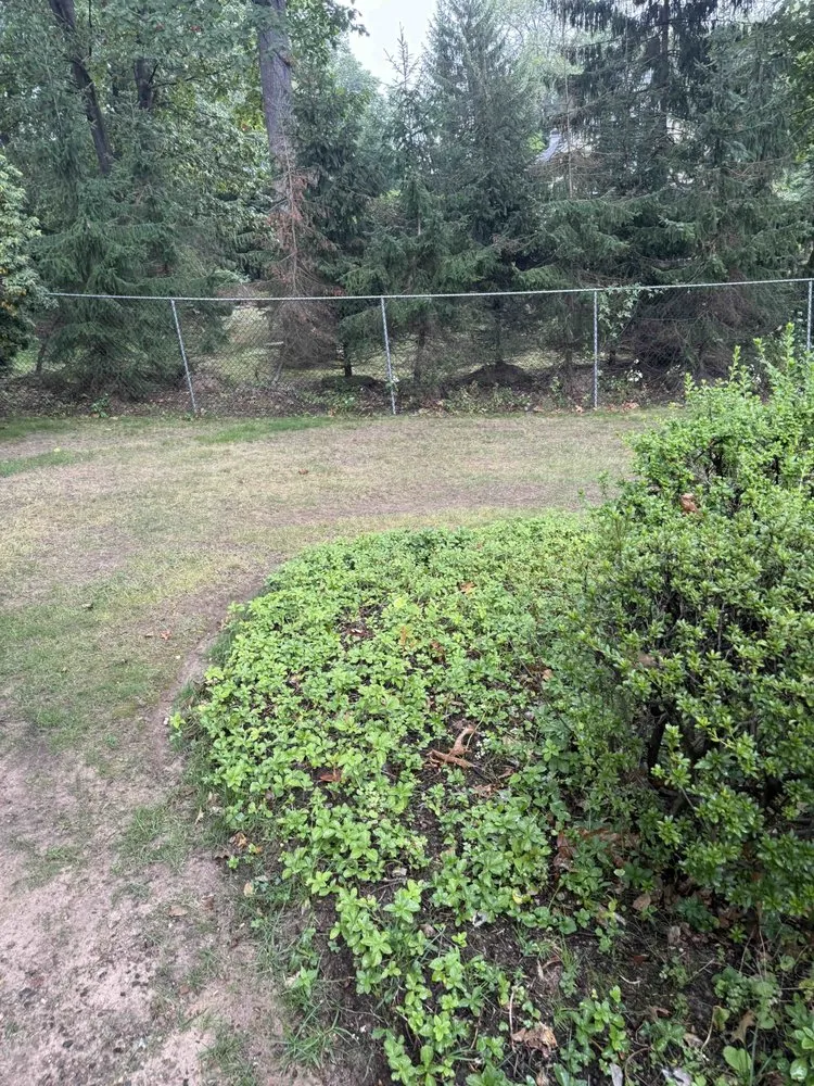 Expert yard cleanup service in Norwood, NJ by Fuji Valley Landscaping