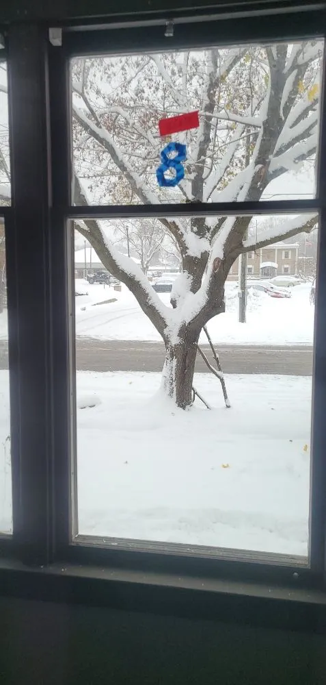 Local yard maintenance experts serving South Bend, IN - Fulce Group