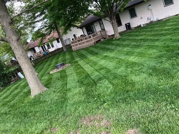 Top-rated lawn care service in Newnan, GA by Fulcher’s Land Improvement