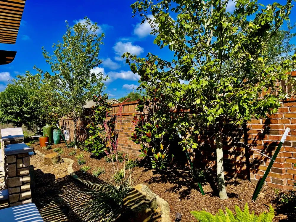 Custom yard cleanup service for outdoor upgrades across League City, TX - Full Armor Landscapes