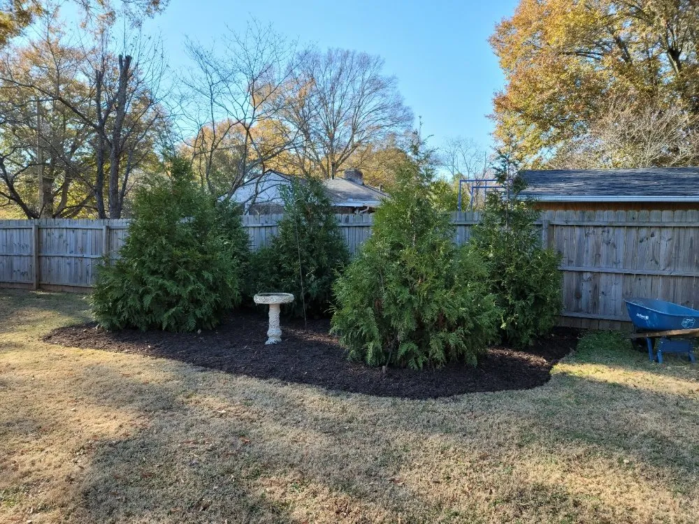 Professional landscape installation in Cartersville, GA by Full Armor Landscaping