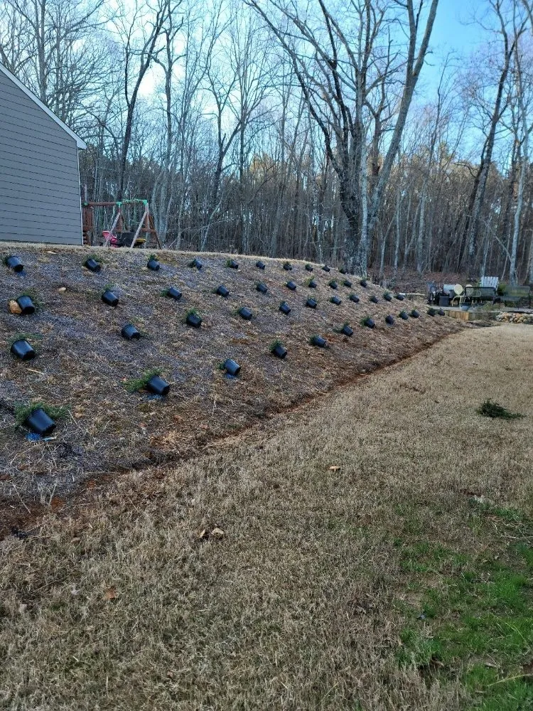 Trusted landscape installation for residential properties in Cartersville, GA by Full Armor Landscaping