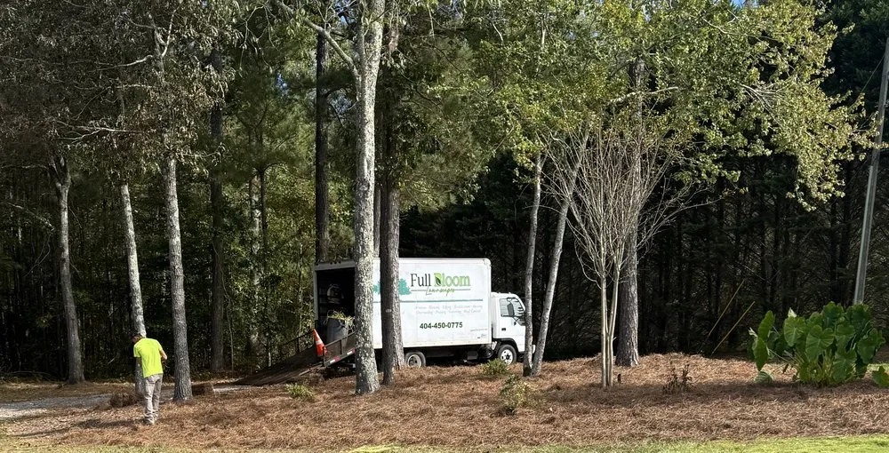 Professional outdoor landscaping in Fruithurst, AL - Full Bloom Lawnscapes