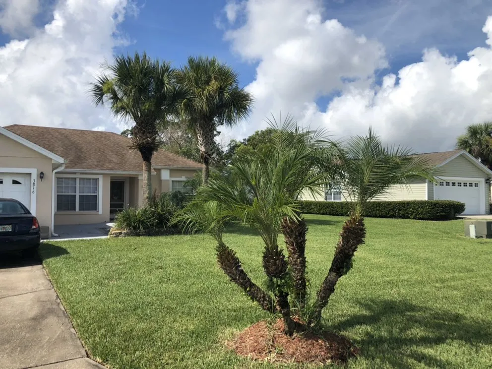 Custom outdoor landscaping in Orlando Fl, FL by Full Boar Landscaping and Irrigation