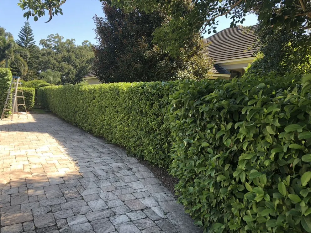Custom garden landscaping experts serving Orlando Fl, FL - Full Boar Landscaping and Irrigation