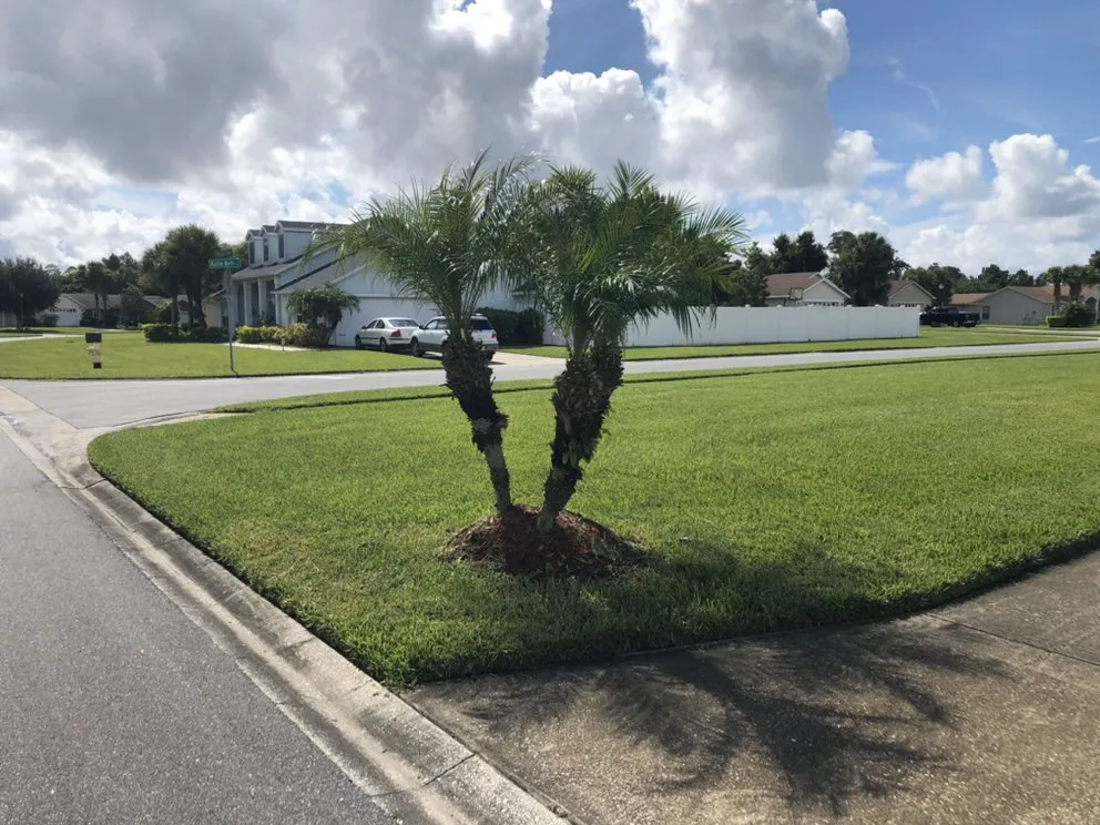 Affordable landscaping services for outdoor upgrades across Orlando Fl, FL - Full Boar Landscaping and Irrigation