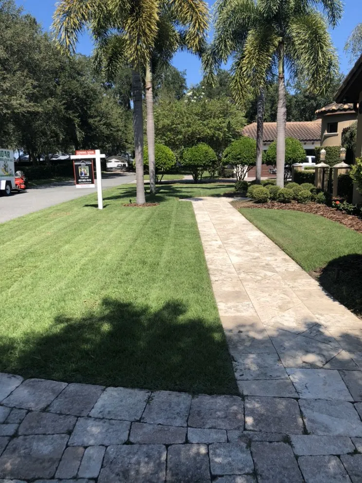 Professional landscape design in Orlando Fl, FL - Full Boar Landscaping and Irrigation