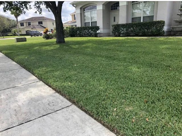 Top-rated lawn care service for beautiful yards in Orlando Fl, FL by Full Boar Landscaping and Irrigation