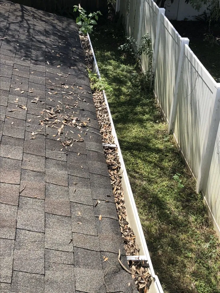 Custom landscape design for homes in Orlando Fl, FL by Full Boar Landscaping and Irrigation