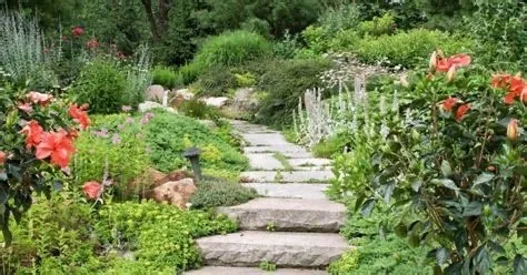 Top-rated outdoor landscaping experts serving Arcata, CA - Full Circle Garden Solutions