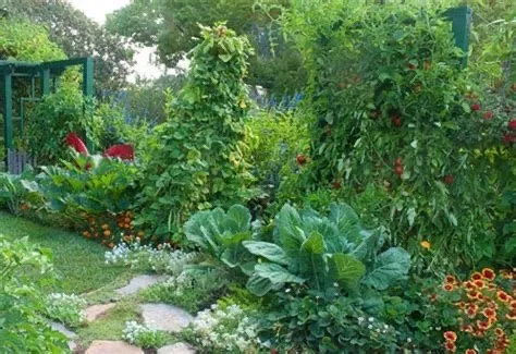 Expert yard cleanup service in Arcata, CA by Full Circle Garden Solutions