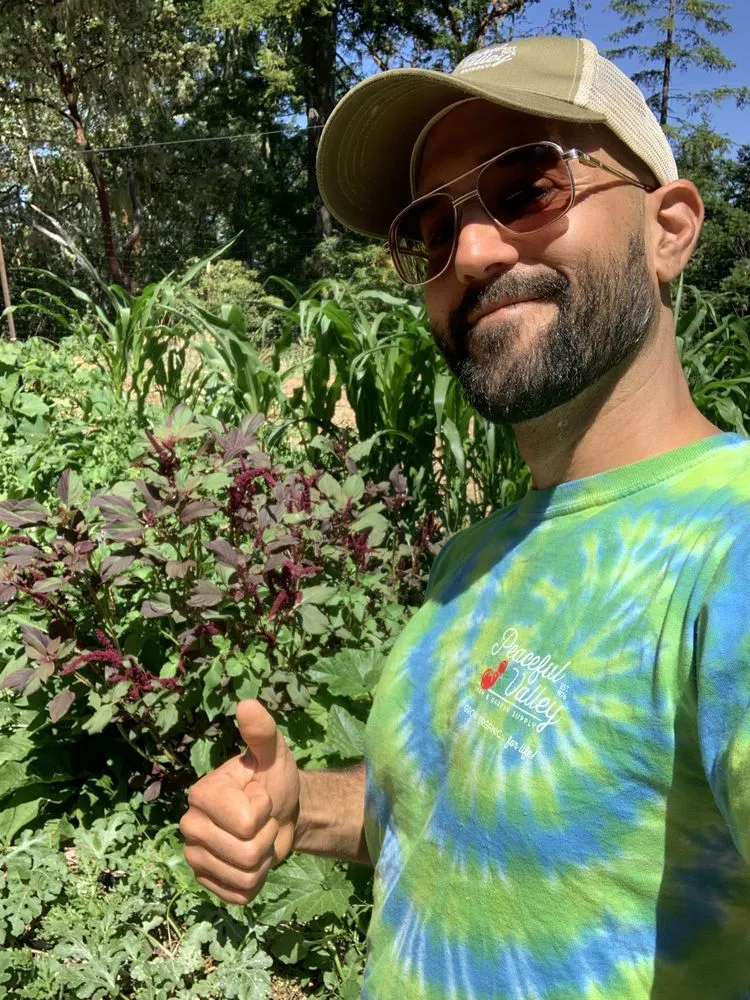 Expert garden landscaping in Arcata, CA - Full Circle Garden Solutions