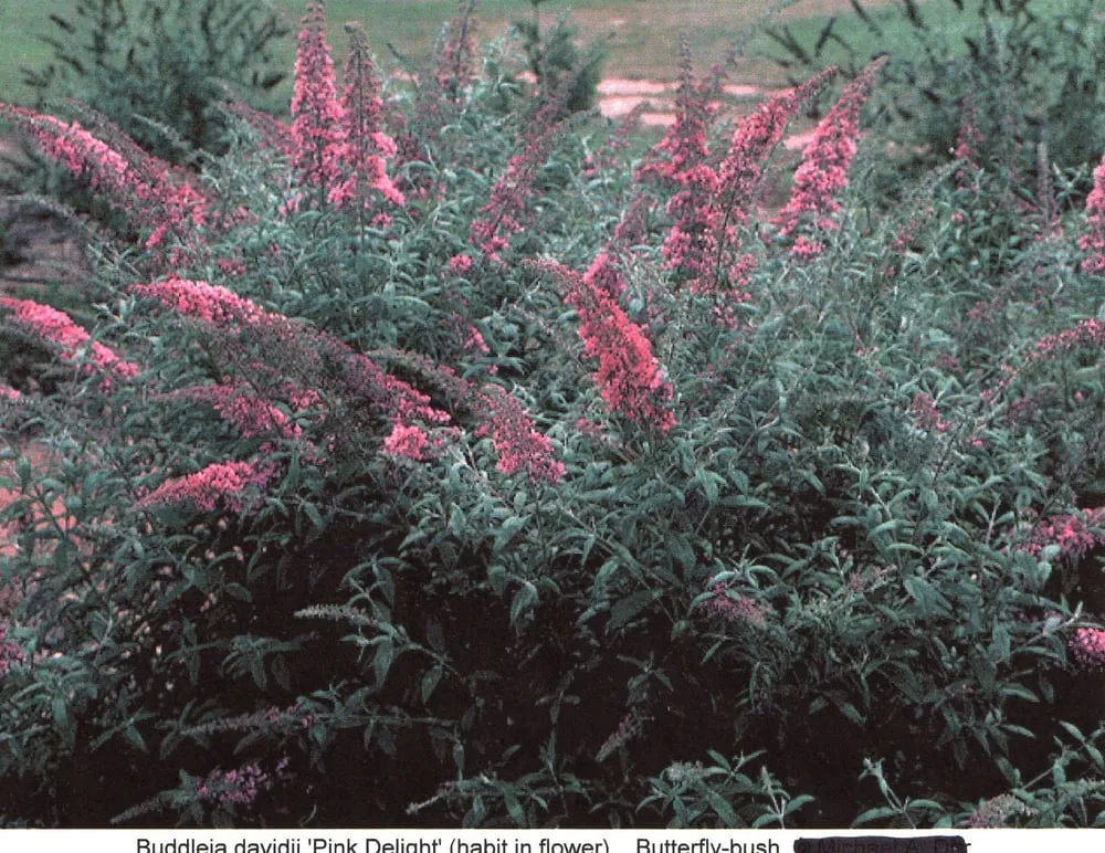 Local lawn care service for outdoor upgrades across Granite Falls, NC - Full Circle Landscape and Design