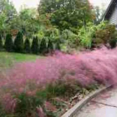 Trusted yard maintenance in Granite Falls, NC by Full Circle Landscape and Design