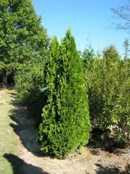 Expert garden landscaping in Granite Falls, NC by Full Circle Landscape and Design