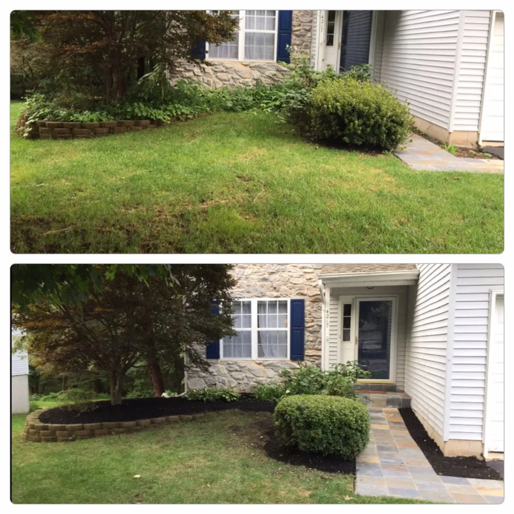 Professional yard cleanup service in Doylestown, PA - Full Circle Landscape Solutions