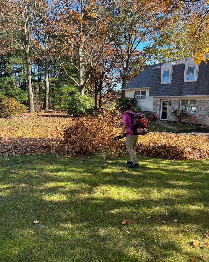 Professional garden landscaping for outdoor upgrades in Doylestown, PA by Full Circle Landscape Solutions