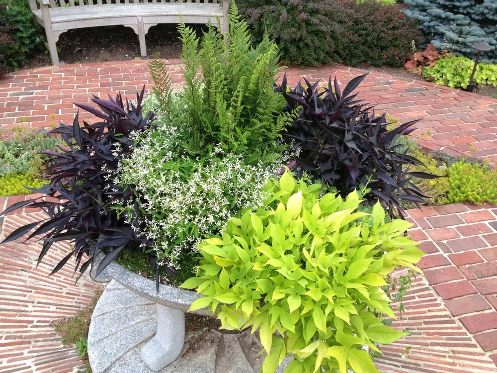 Trusted residential landscaping for homes across Falmouth, ME - Full Circle Landscaping