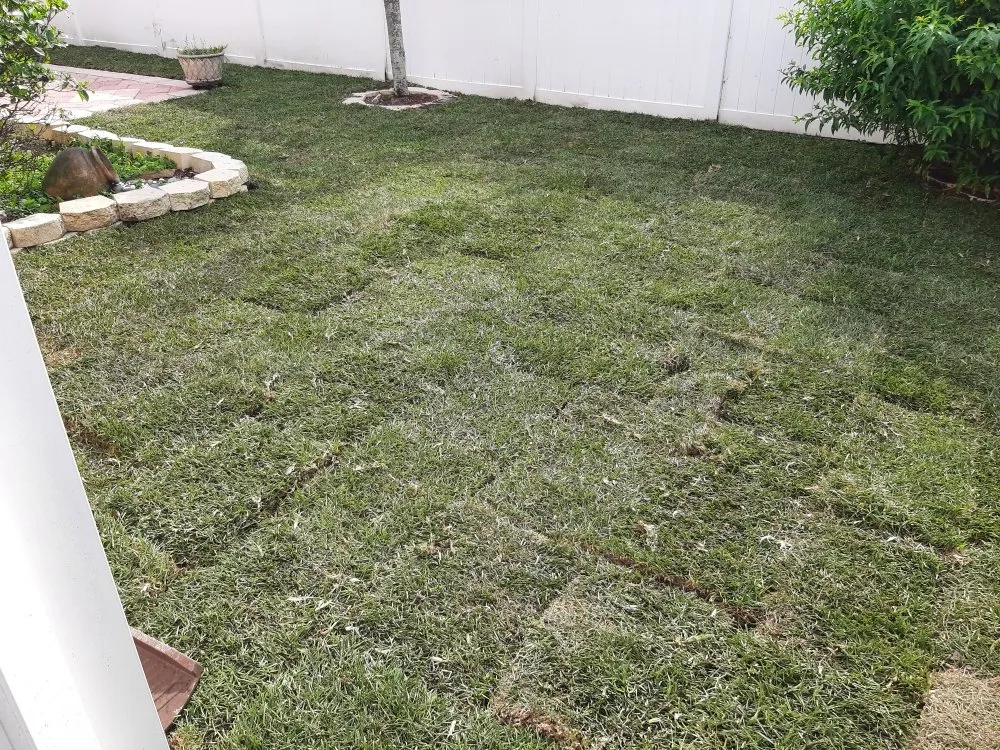 Top-rated garden landscaping in Boynton Beach, FL by Full Circle Lawn & Landscape