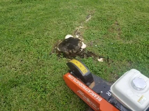 Top-rated landscape design experts serving Boynton Beach, FL - Full Circle Lawn & Landscape