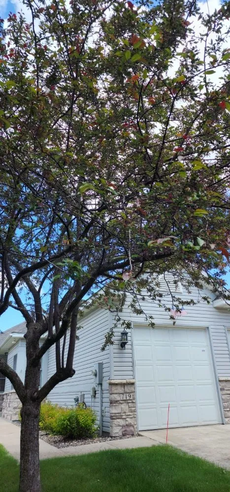 Expert yard maintenance for outdoor upgrades across Litchfield, MN - Full Circle Lawn & Tree