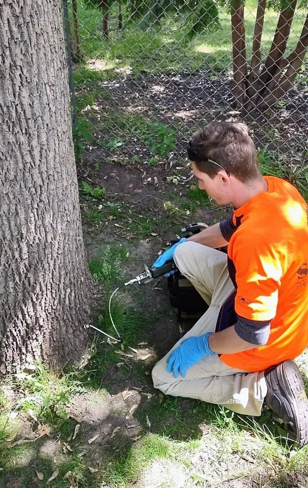 Custom lawn mowing service experts serving Litchfield, MN - Full Circle Lawn & Tree