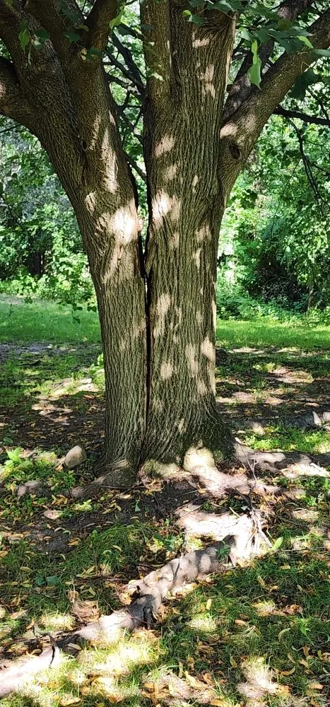 Custom landscape installation experts serving Litchfield, MN - Full Circle Lawn & Tree