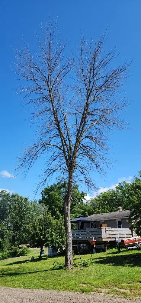 Reliable landscape design in Litchfield, MN - Full Circle Lawn & Tree