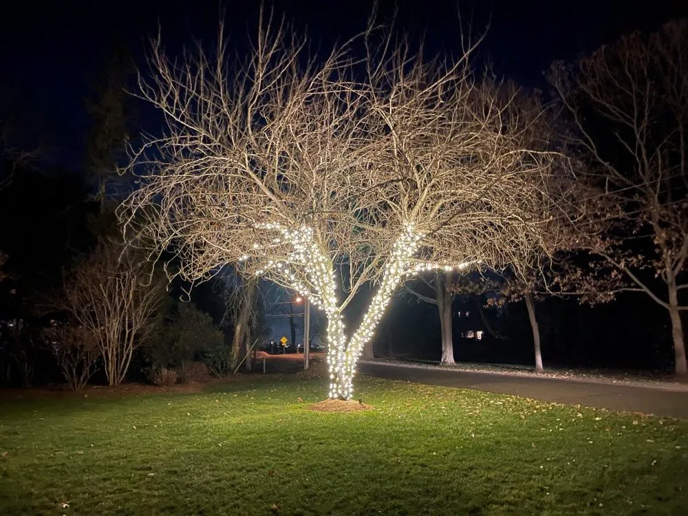 Trusted residential landscaping for year-round maintenance in Belford, NJ by Full Circle Lawn Care