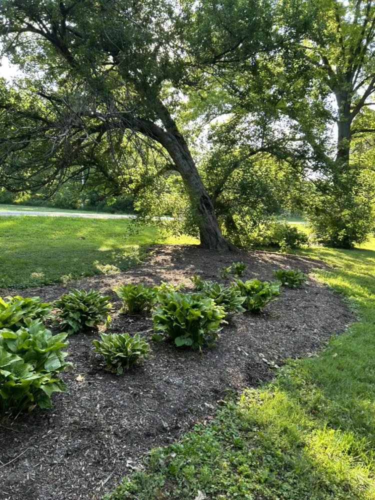 Trusted outdoor landscaping in Rockford, IL - Full Circle Outdoor Service