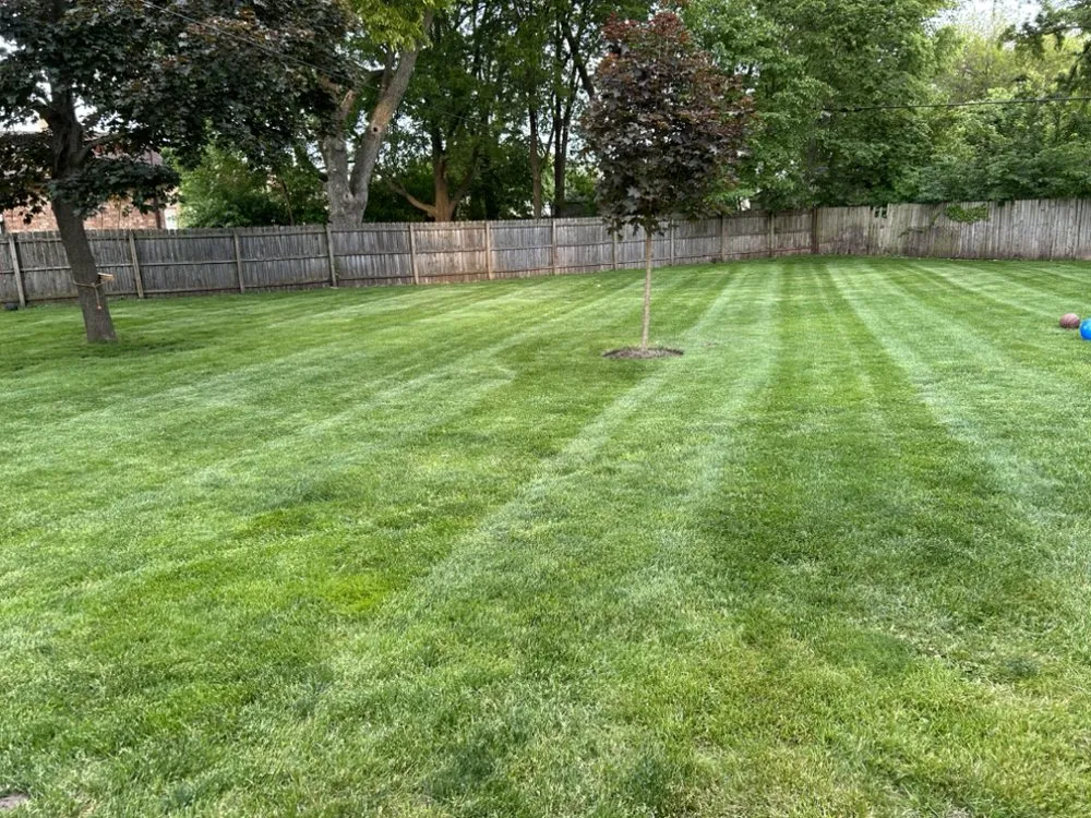 Trusted lawn care service for year-round maintenance in Rockford, IL by Full Circle Outdoor Service