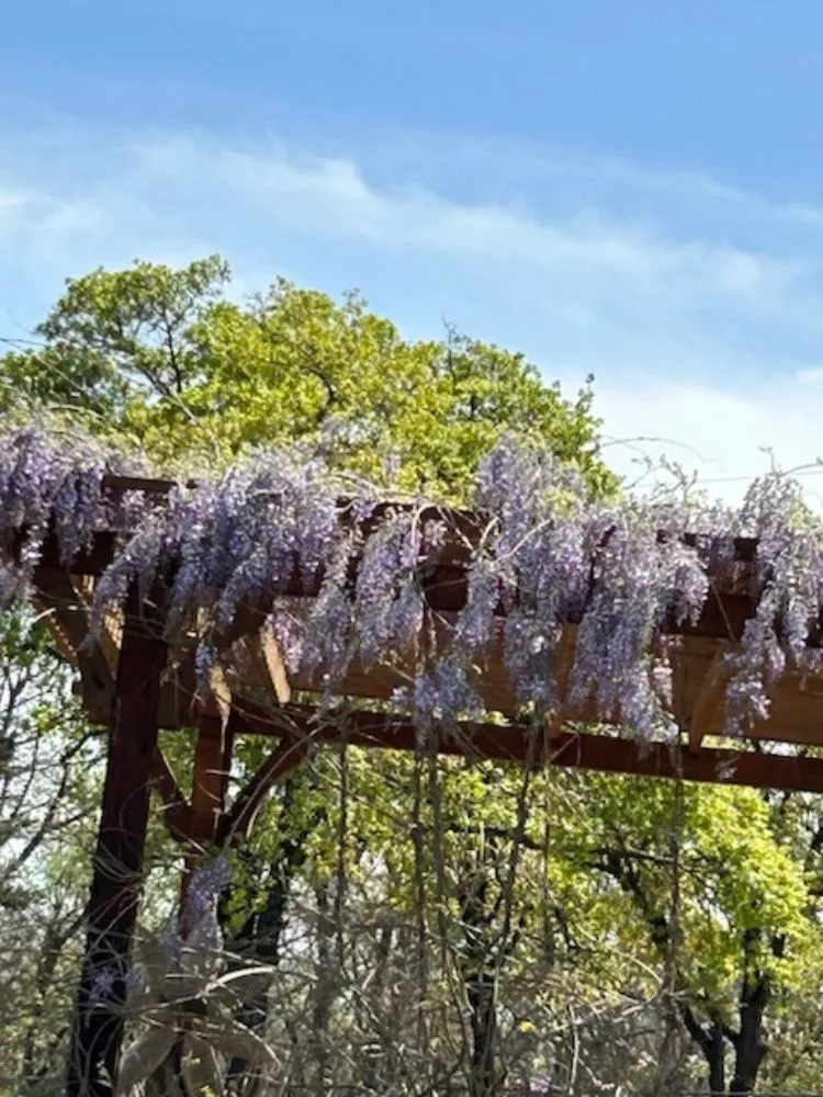 Affordable yard maintenance in Guthrie, OK by Full Circle Pergolas