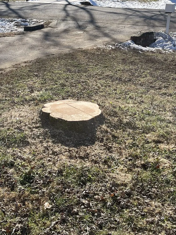 Top-rated yard maintenance in Nashville, TN - Full Circle Tree & Shrub