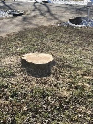 Full Circle Tree & Shrub Logo