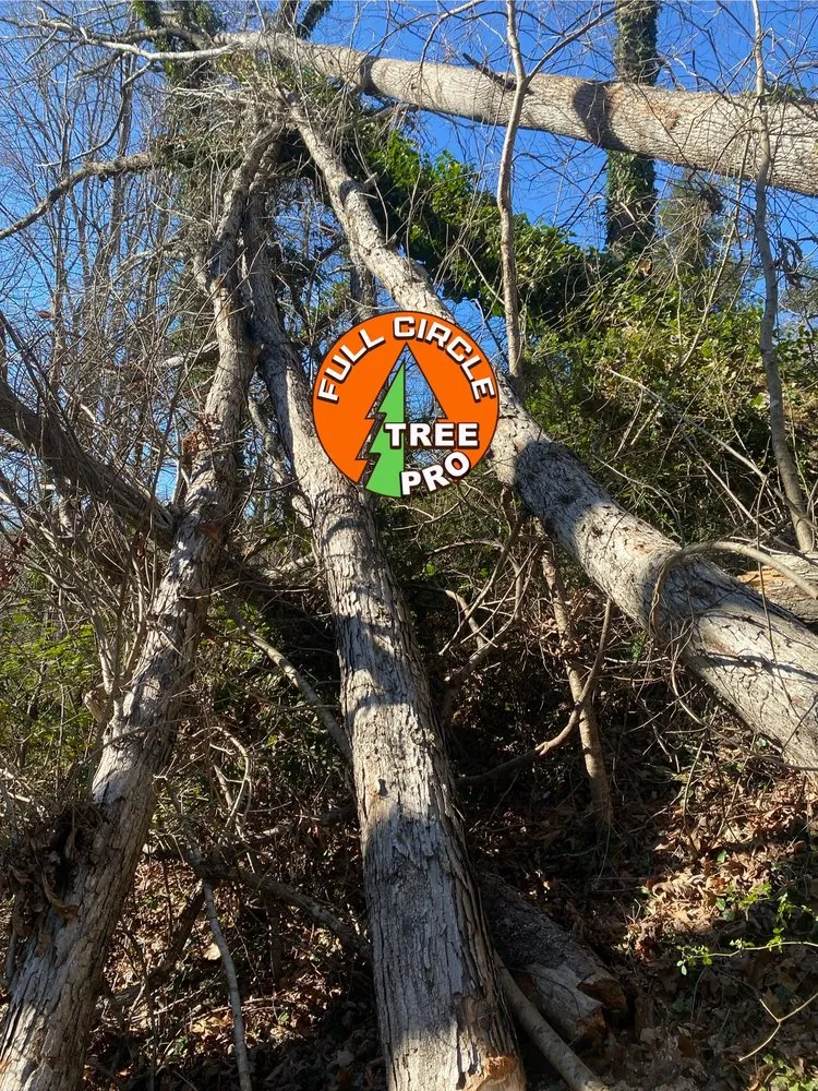 Expert landscape design near you across Mount Airy, NC - Full Circle Tree Pro