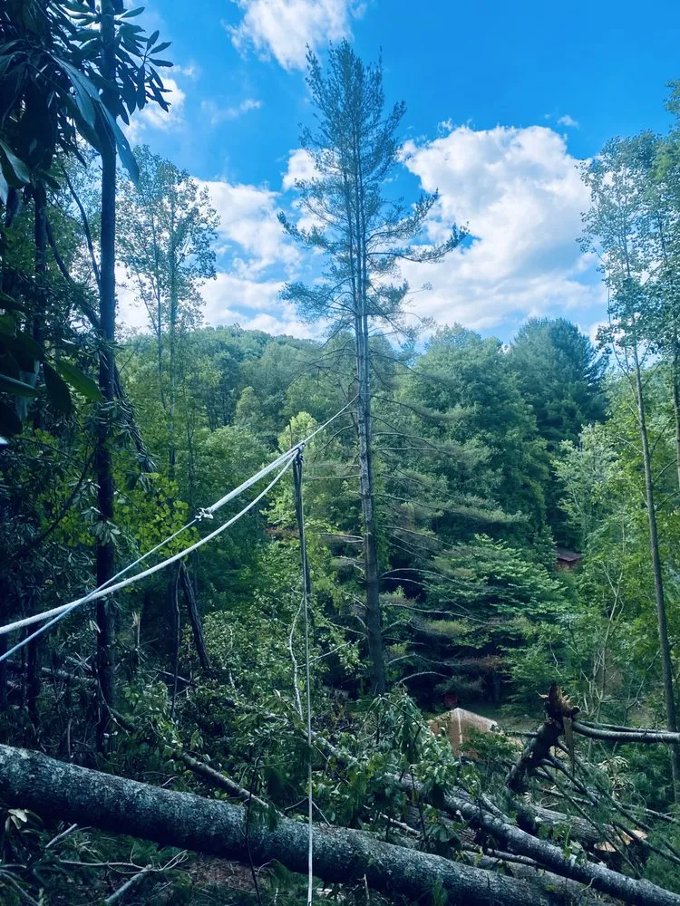 Custom garden landscaping in Mount Airy, NC - Full Circle Tree Pro