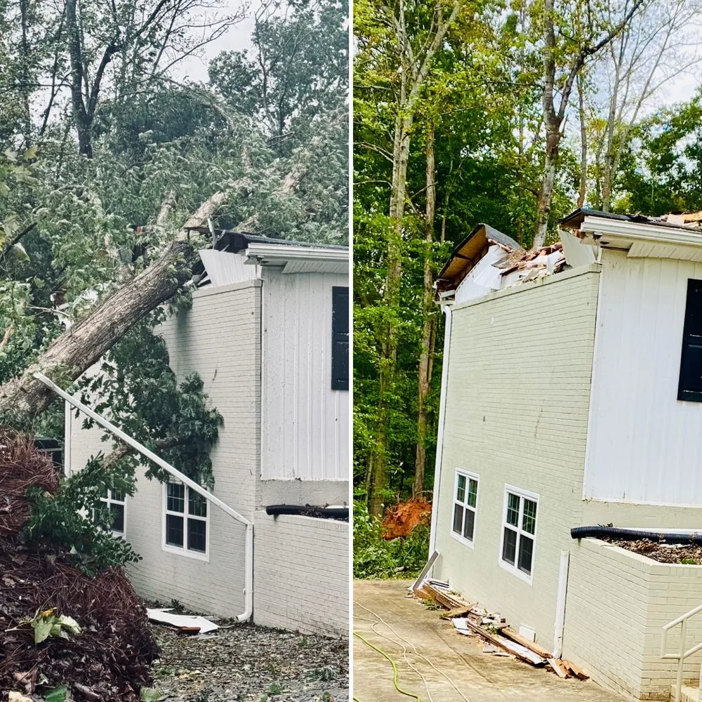 Trusted landscaping services near you in Mount Airy, NC by Full Circle Tree Pro