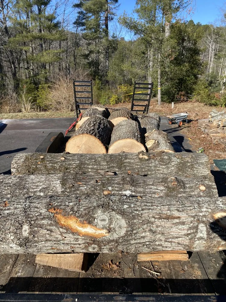 Expert lawn mowing service in Mount Airy, NC - Full Circle Tree Pro