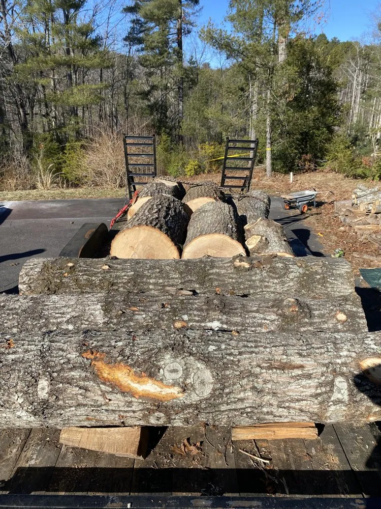 Trusted landscape installation in Mount Airy, NC by Full Circle Tree Pro