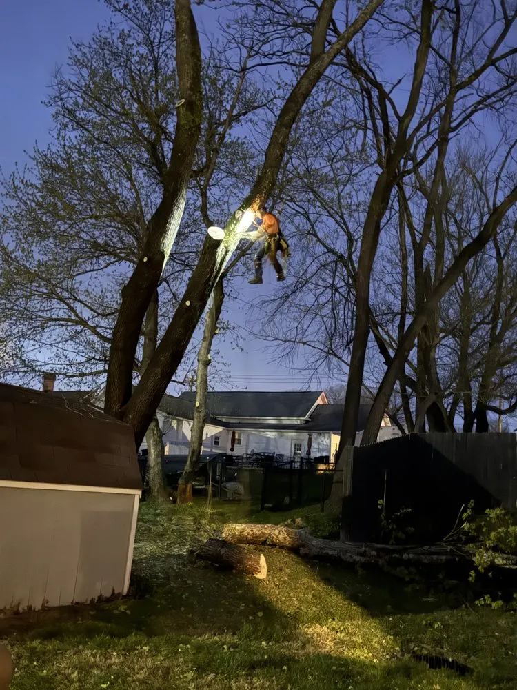 Professional outdoor landscaping experts serving Mount Airy, NC - Full Circle Tree Pro