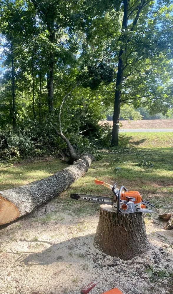 Affordable yard maintenance in Mount Airy, NC - Full Circle Tree Pro