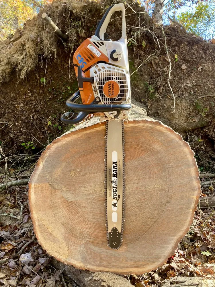 Custom outdoor landscaping experts serving Mount Airy, NC - Full Circle Tree Pro