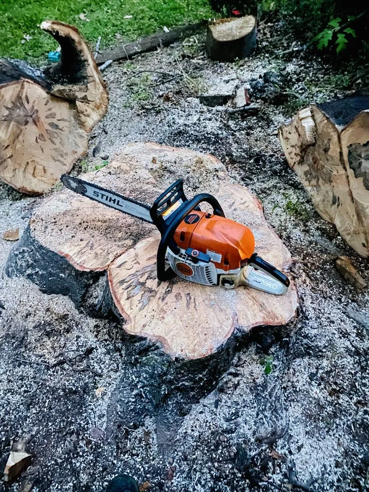 Professional garden landscaping in Mount Airy, NC by Full Circle Tree Pro