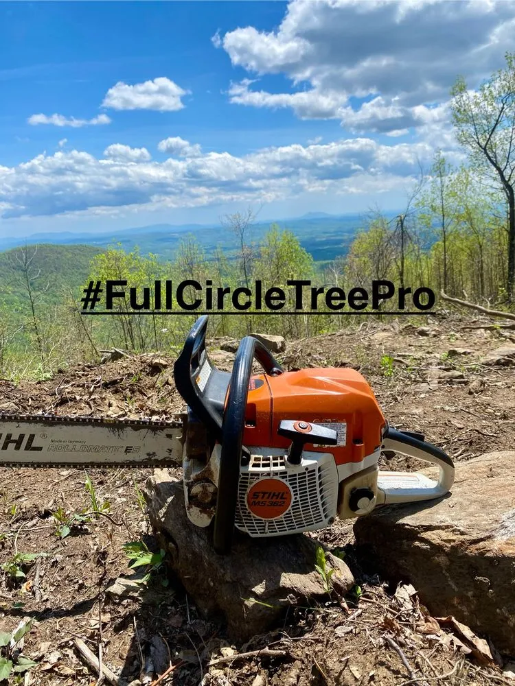 Custom garden landscaping for year-round maintenance in Mount Airy, NC by Full Circle Tree Pro