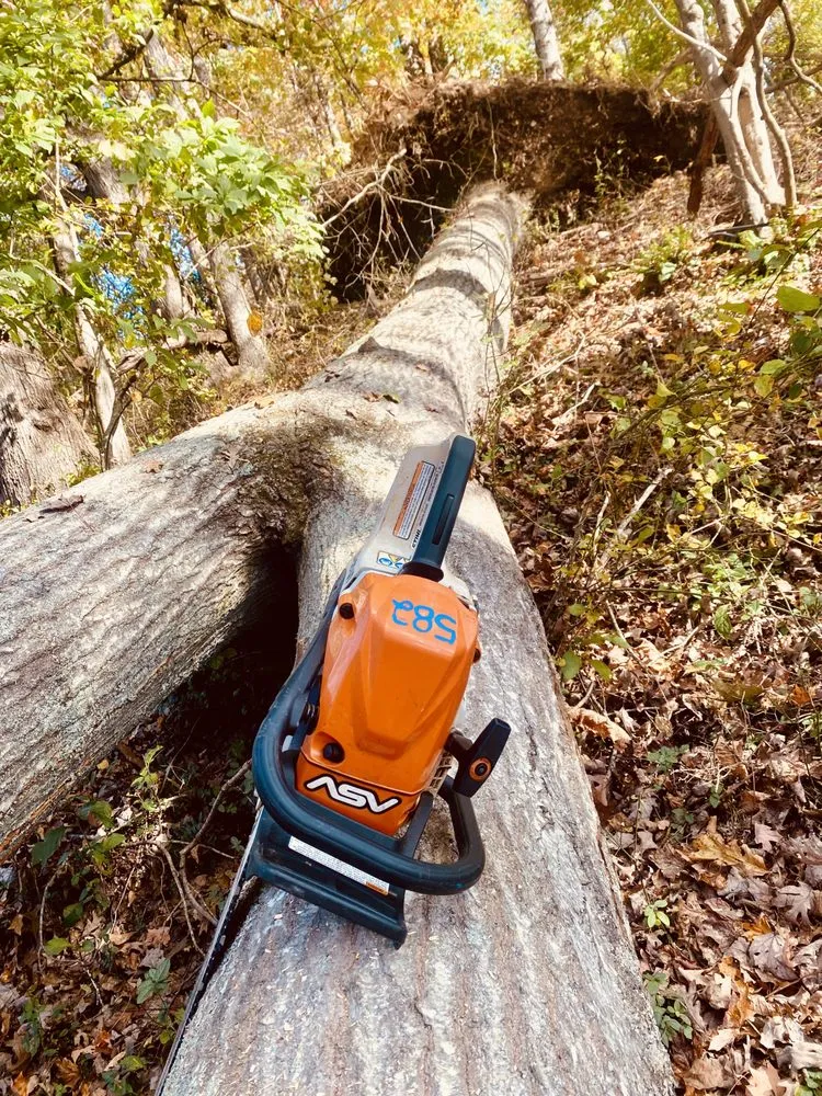 Trusted lawn care service in Mount Airy, NC - Full Circle Tree Pro