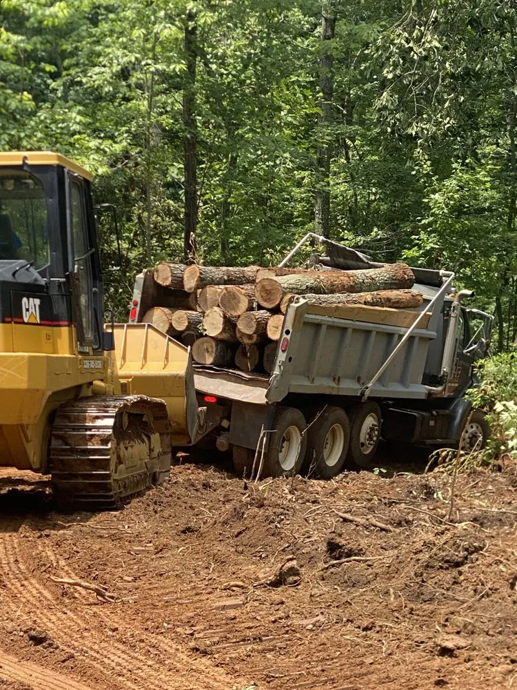 Expert lawn care service with custom design across Mount Airy, NC - Full Circle Tree Pro