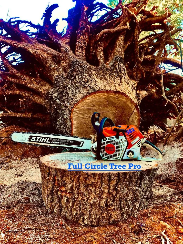 Professional landscape design experts serving Mount Airy, NC - Full Circle Tree Pro