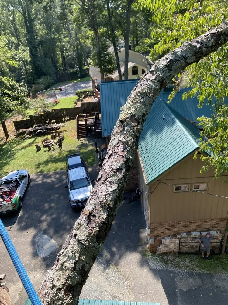 Local outdoor landscaping in Mount Airy, NC by Full Circle Tree Pro