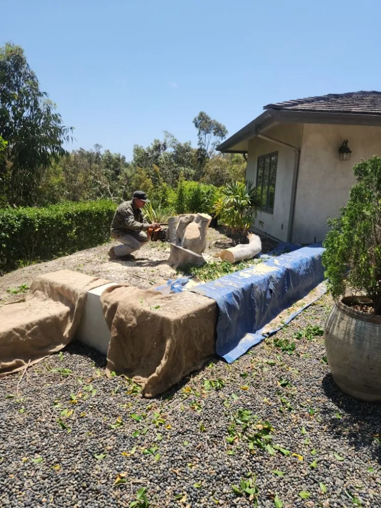 Professional garden landscaping for beautiful yards across Escondido, CA - Full Circle Tree Service